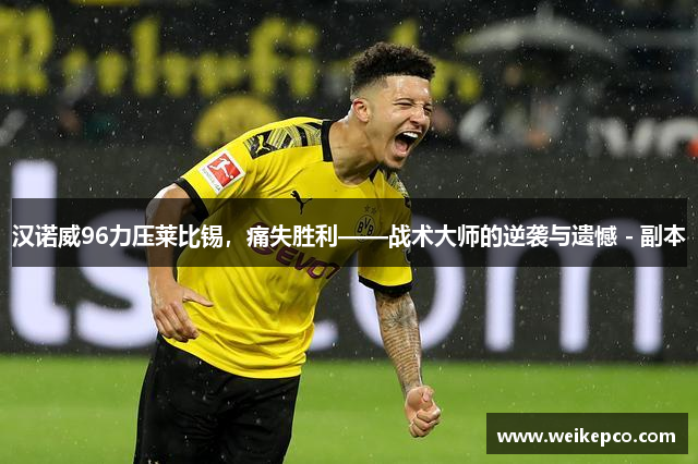 汉诺威96力压莱比锡，痛失胜利——战术大师的逆袭与遗憾 - 副本