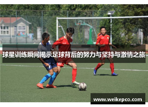 球星训练瞬间揭示足球背后的努力与坚持与激情之旅