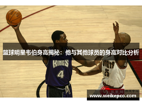 篮球明星韦伯身高揭秘：他与其他球员的身高对比分析